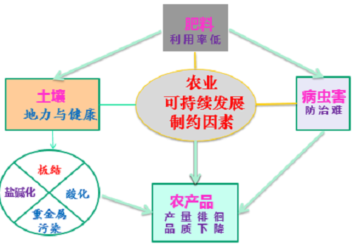 1598922355560027.png K0005.png