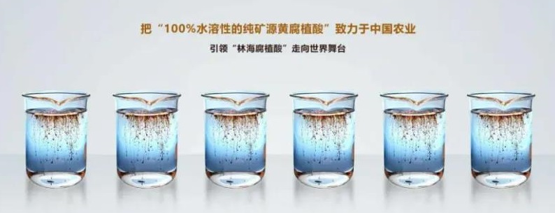 微信图片_20220120172955.jpg