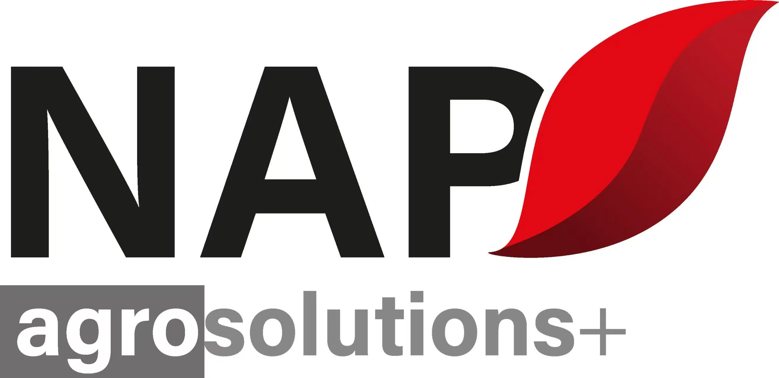 19-12F45-NAP.webp